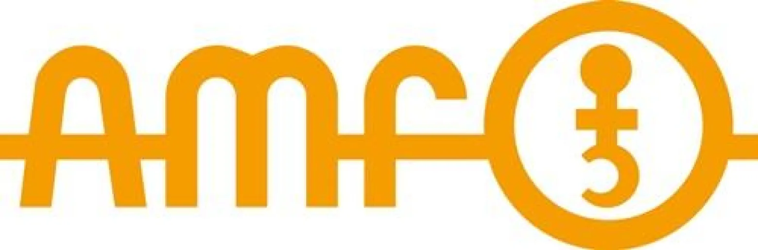 AMF Schubstangenspanner Nr.6840 Gr.3 - 93930
