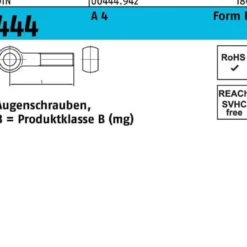 Augenschraube DIN 444 FormB BM 24x 130 A 4 1 Stück