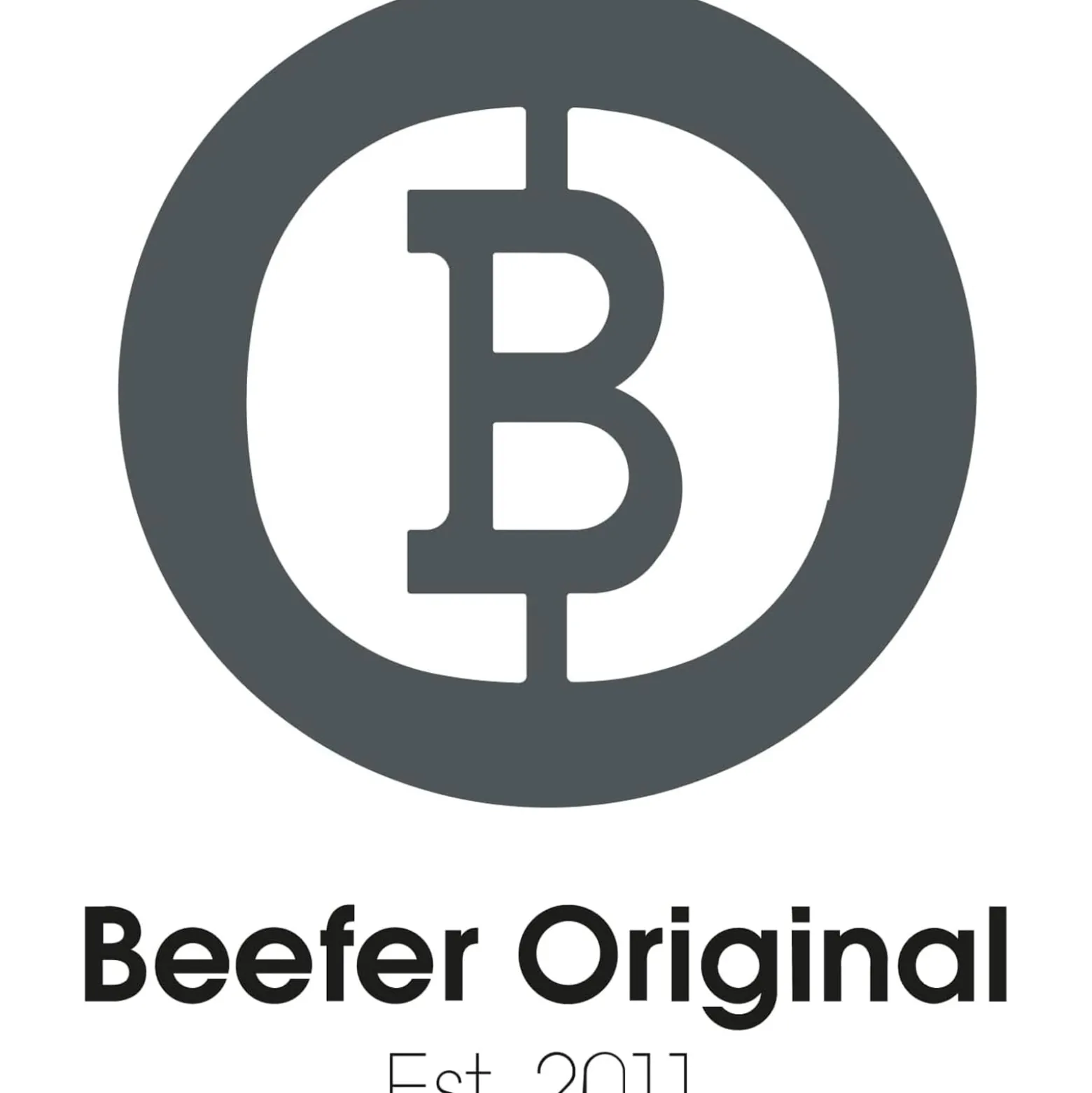 BEEFER E-BEEFER Pro 800°C Oberhitzegrill mit Kochbuch "Der BEEFER 2" im Set - 1400001-Set2