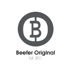 BEEFER 4x Kaminscheiben-, Ofenglas- und Grillrostreiniger 750 ml - 10100004-4