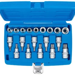 BGS Bit-Einsatz-/Steckschlüssel-Einsatz-Satz Antrieb Innenvierkant 12,5 mm (1/2") E-Profil / T-Profil (für Torx) 19tlg. - 5100
