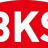 BKS Panik-Einsteckschloss 1201 Fkt.B rd 20/65/72/9mm DIN re.VA - B-12010-C0-R-8
