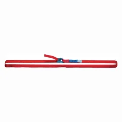 Dolezych Zurrgurt DIN EN 12195-2 Länge 2 m Breite 25 mm - 42250214