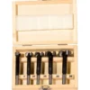 Fischer Forstnerbohrer D-WFo Set (5 Teile) - 551442