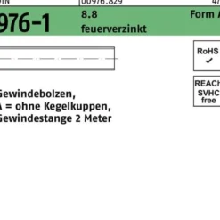 Gewindebolzen DIN 976 o.Kegelkuppen AM 20x 2000 8.8 feuerverz. 1 Stück