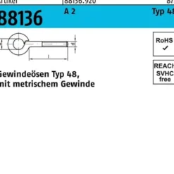 Gewindeöse R 88136 Typ 48 M10x 70 D 14 A 2 50 Stück