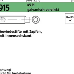 Gewindestift DIN 915 Zapfen/Innen-6kt M6x16 45 H galv.verz. 500St.