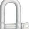 kleinsorge Schäkel Tragfähigkeit 300 kg - 1004380V