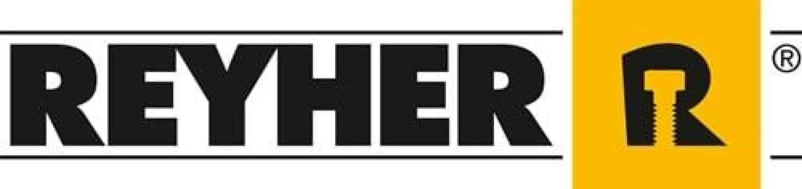 Kreuzgriff DIN 6335 Gewindedurchloch D 100 M20 Grauguss 5 Stück