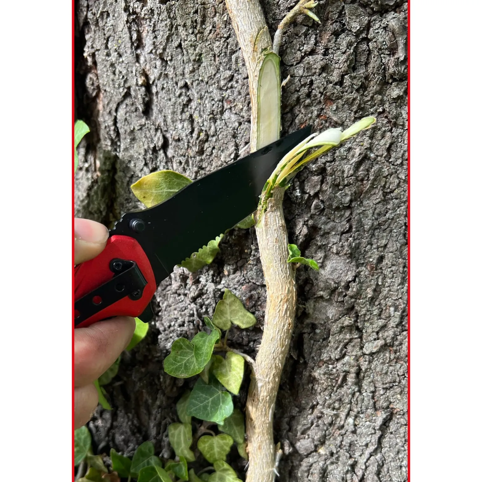 KS TOOLS Klappmesser mit Arretierung und Gurtschneider - 907.2220