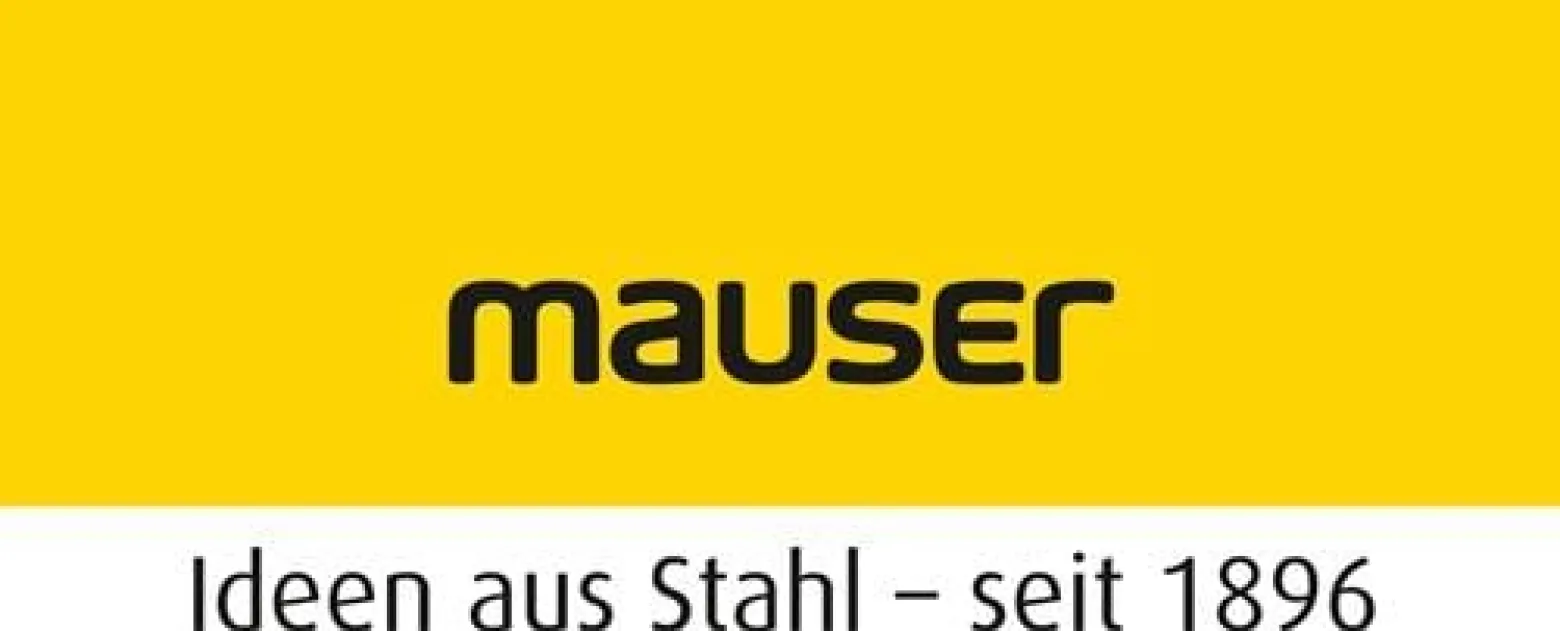 mauser Wandschiene B620mm Stahl verzinkt - 39002463