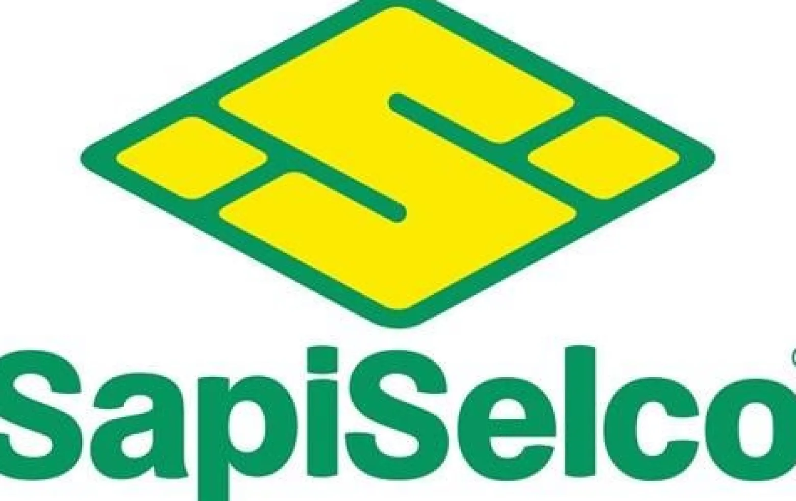 SAPISELCO 100x Kabelbinder Länge 100 mm Breite 2,5 mm natur - SEL.2.202