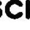 SCHELL Vierkant-Schlüssel Schlüsselweite 12, schwarz