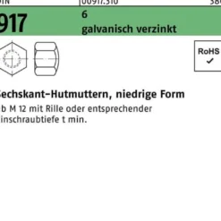 Sechskanthutmutter DIN 917 niedrige FormM24 6 galv.verz. 10 Stück