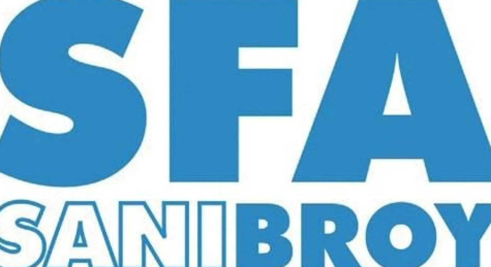 SFA Entkalker für Kleinhebeanlagen Kanister 5 l
