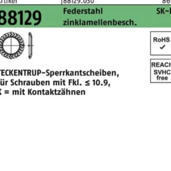 Sperrkantscheibe R 88129 K 4x 8,2x0,8 Federst. zinklamellenb. 250St TECKENTRUP