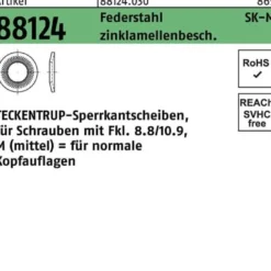 Sperrkantscheibe R 88124 M20x40x3 Federstahl zinklamellenb. 100St. TECKENTRUP