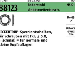 Sperrkantscheibe R 88123 NSK-S 5 Federstahl zinklamellenb. 1000St. TECKENTRUP
