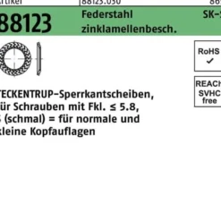 Sperrkantscheibe R 88123 S 6x12,2x1,2 Federstahl zinklamellenb. 250St TECKENTRUP