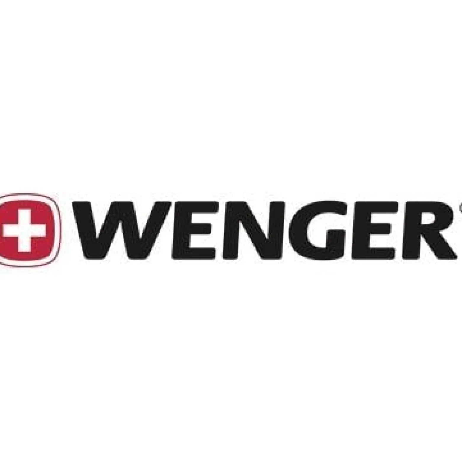 Wenger Laptop-Trolley Granada 600659 schwarz/grau