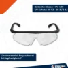 WS24 Schutzbrille in Etui - WS24-100108