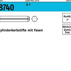Zylinderkerbstift ISO 8740 Fasen 6x 50 A 1 100 Stück